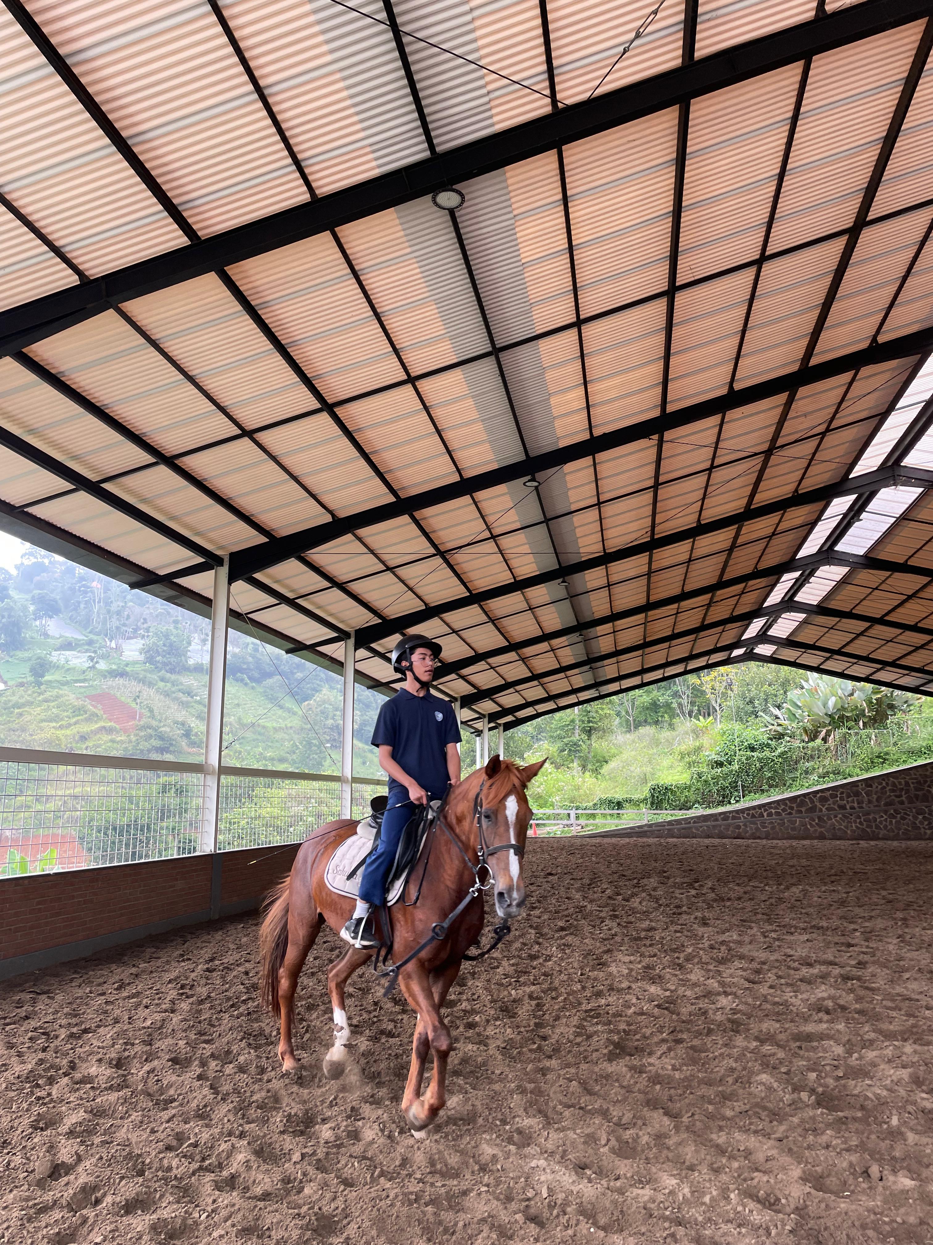 Horse Riding